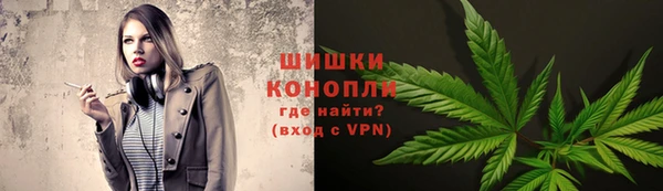 крисы Армянск