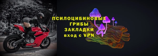 крисы Армянск