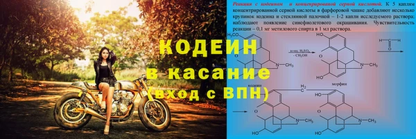 крисы Армянск
