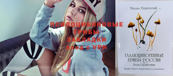 крисы Армянск