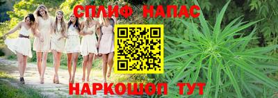 молекула духа Пенза