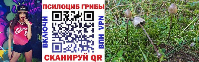 даркнет сайт  Узловая  Галлюциногенные грибы MAGIC MUSHROOMS 