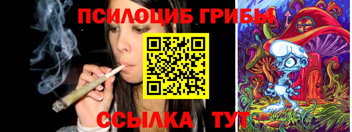 Узловая  Галлюциногенные грибы Psilocybine cubensis  Вход с VPN 